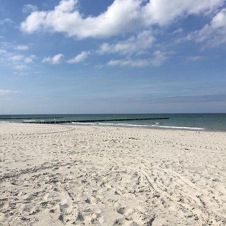 Seepferdchen Zingst Exterior foto
