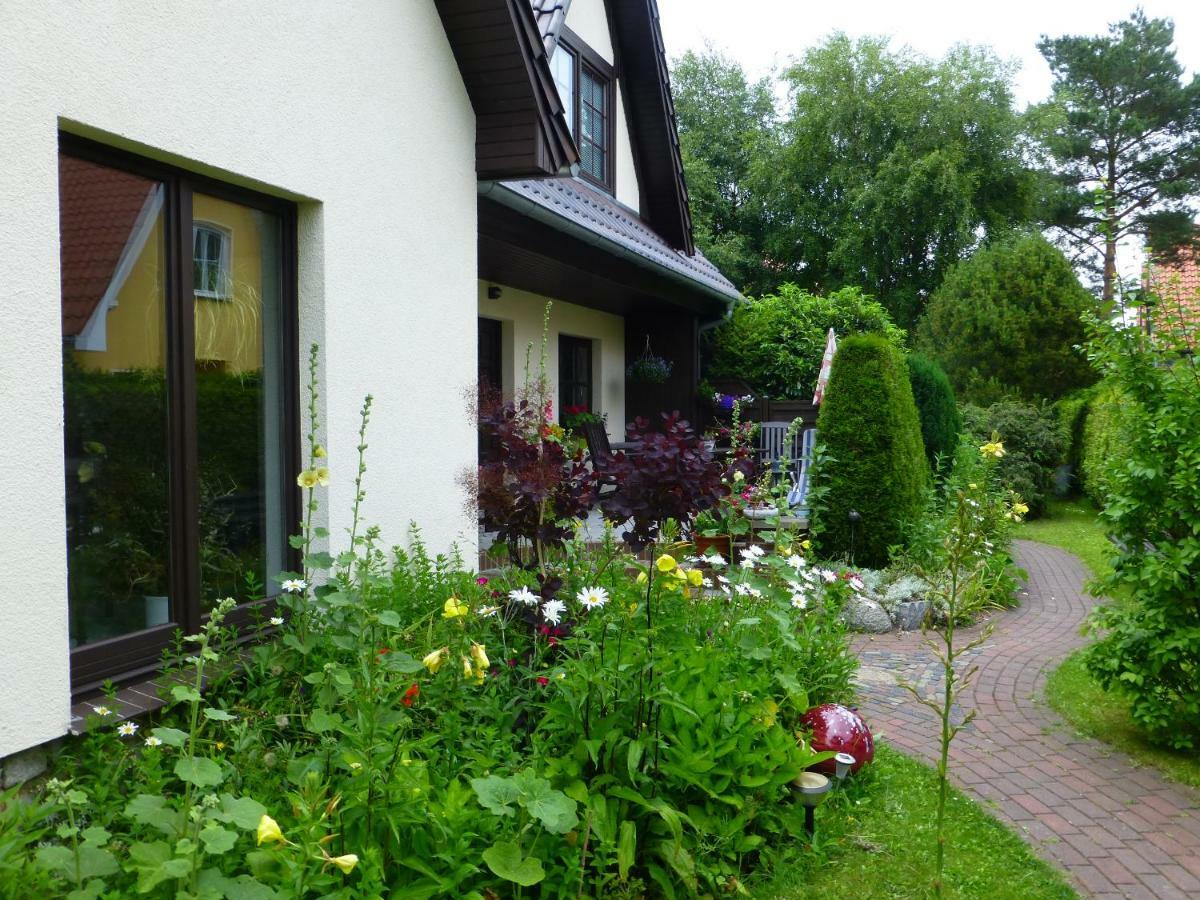 Seepferdchen Zingst Exterior foto